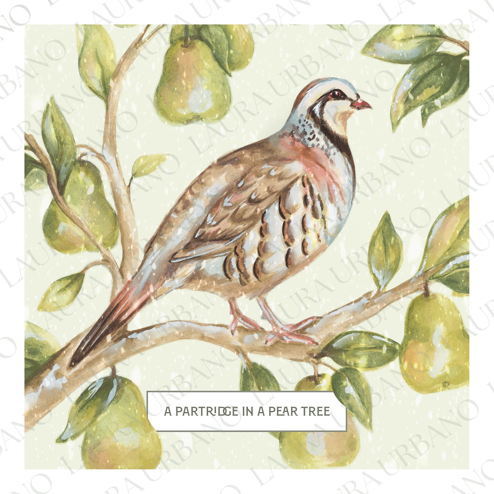 Christmas Card | Partridge in a Pear Tree
